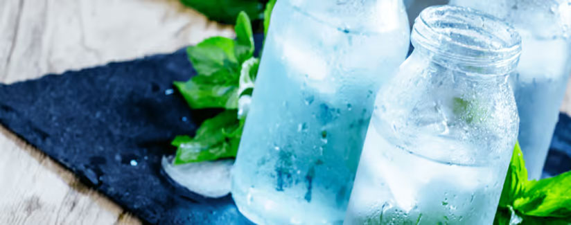boissons detox été a base de plantes fraiches